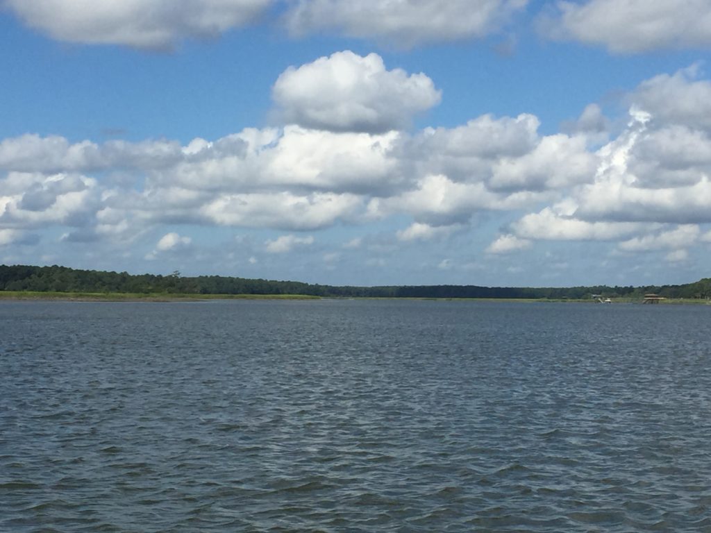 May River Panorama