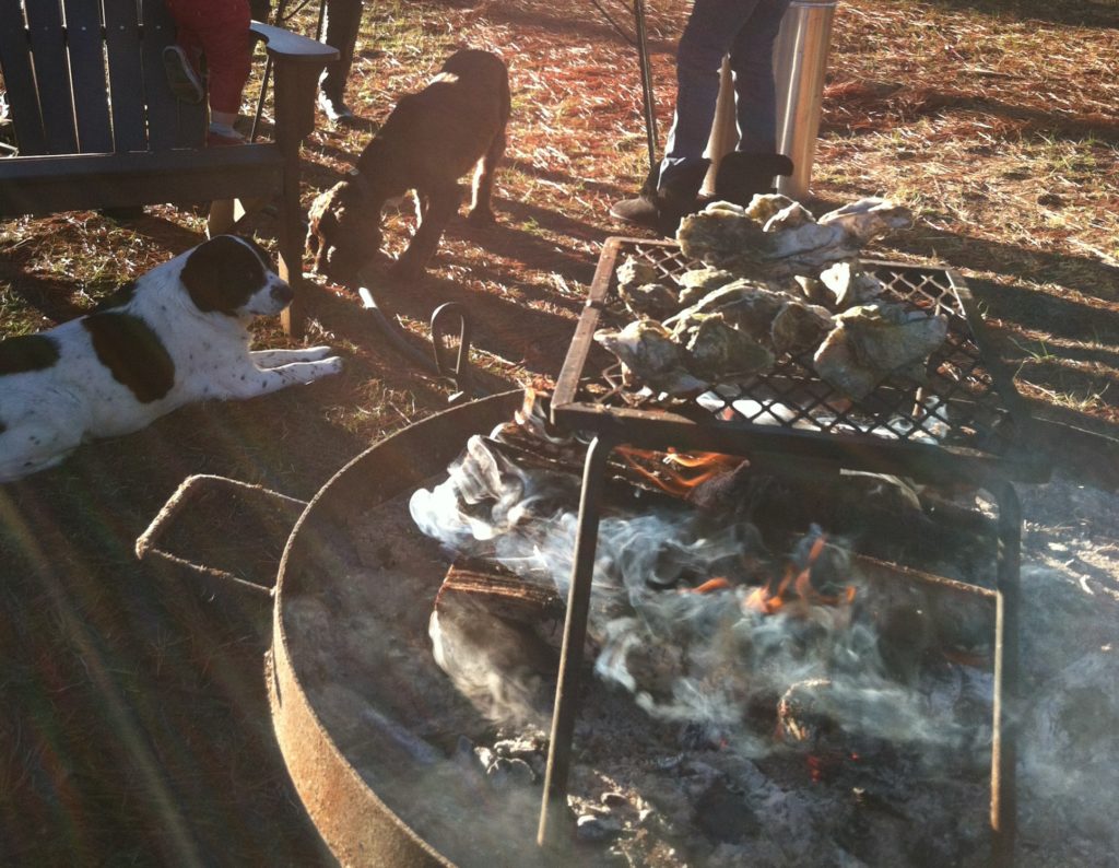 Oyster Roast