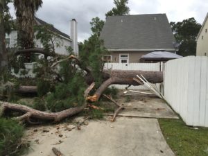 Hurricane Matthew Fence Damage