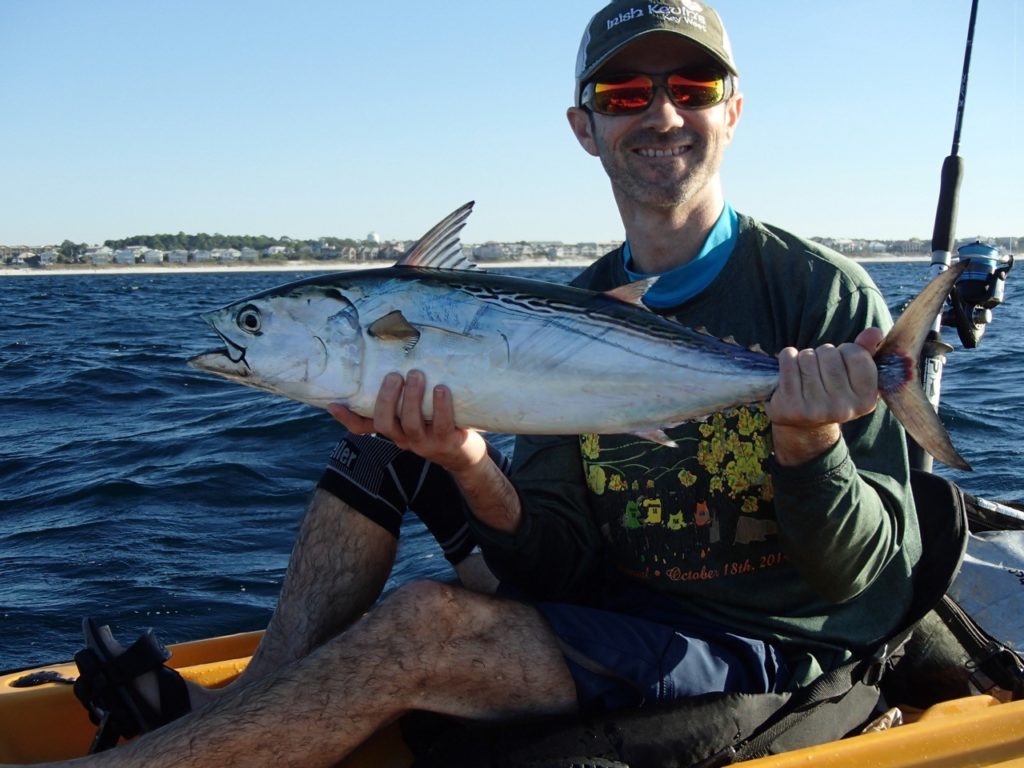 Bonito , Kayak, Florida Gulf Coast