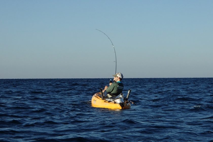 Fighting from a Kayak, Florida Gulf Coast