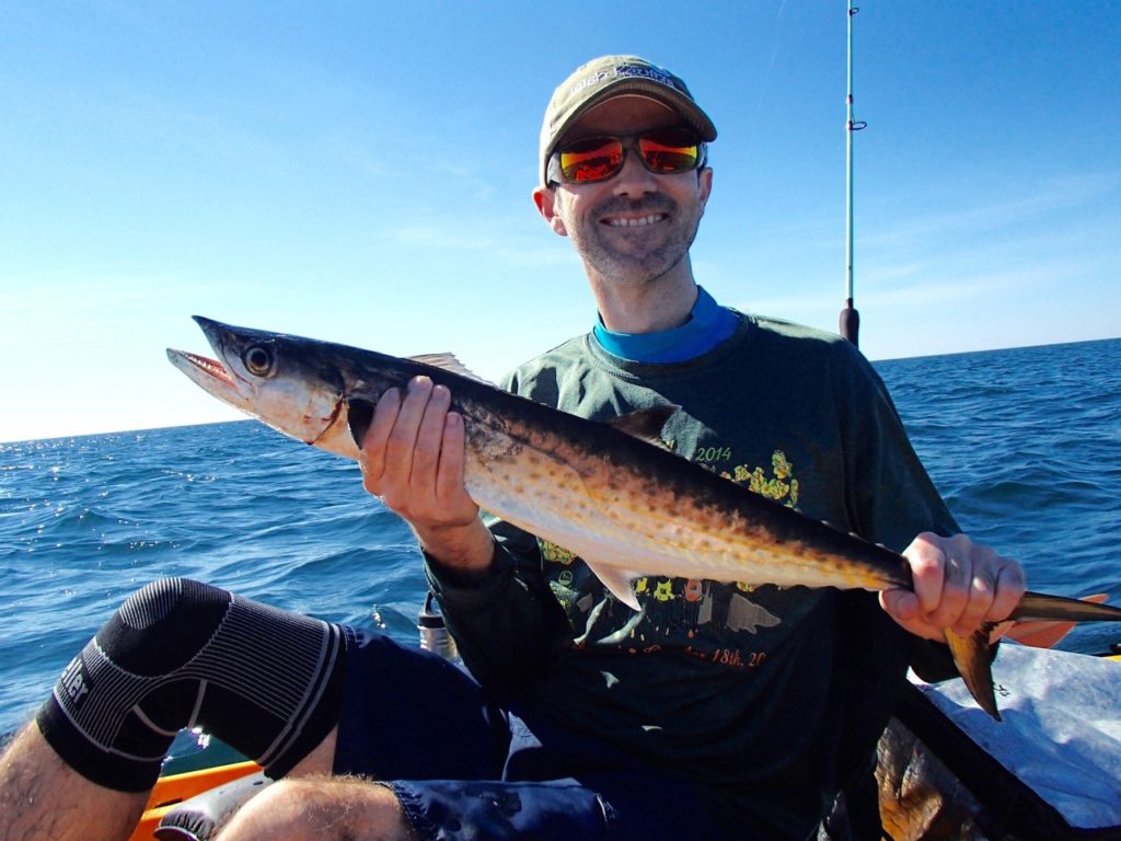 King Mackerel, Kayak, Florida Gulf Coast