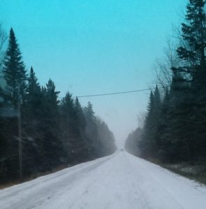 Snow in North Maine Woods